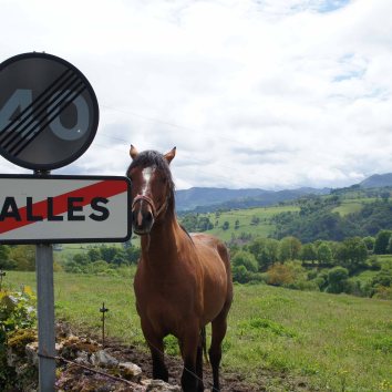 Valles, Piloña, Asturias